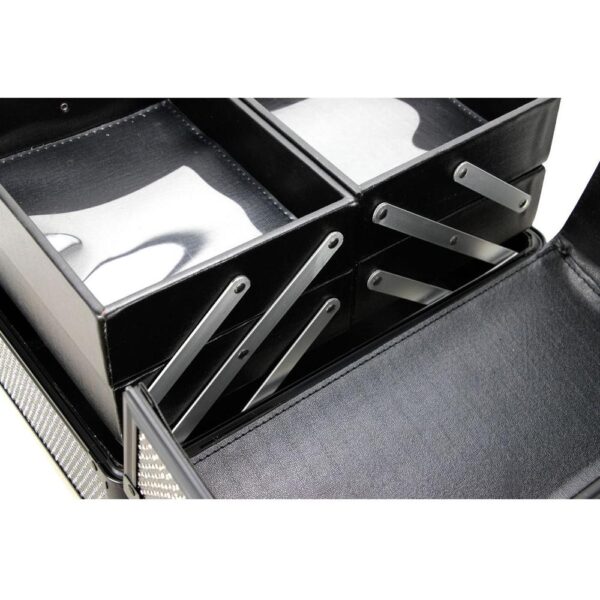 2-tier-professional-cosmetic-case-with-accordion-trays-black-by-trucase-xj-605200-10_1160x_crop_center