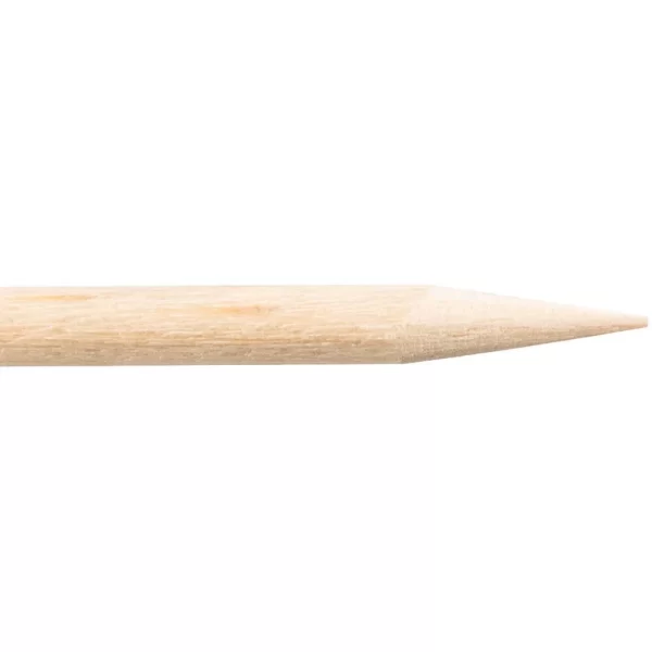 Birchwood-cuticle-sticks-4-inches-l-500-count-gm-110399-2_1160x_crop_center