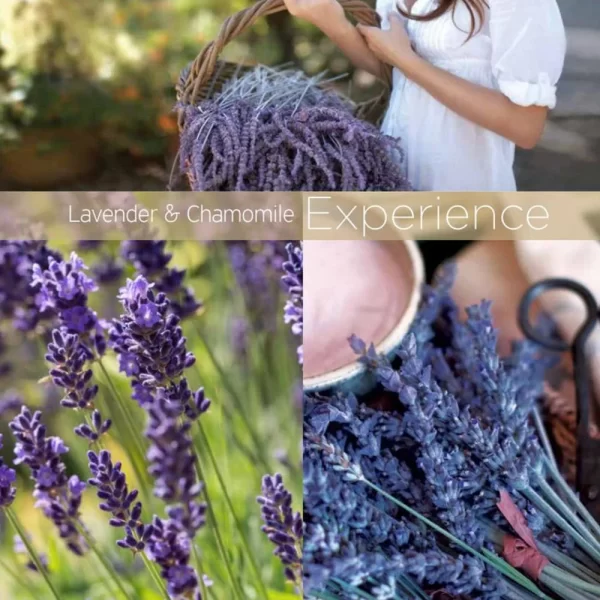Cuccio-cuticle-revitalizing-oil-lavender-and-chamomile-2-5-oz-ux-225550-3_1160x_crop_center