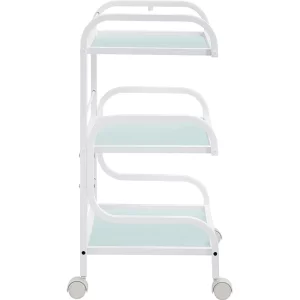 Damien-3-shelf-medical-spa-trolley-cart-ma-500876-4_1160x_crop_center