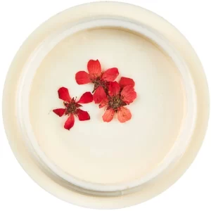 Dried-flowers-for-nail-art-pack-1-pack-jk-520615-2_1160x_crop_center