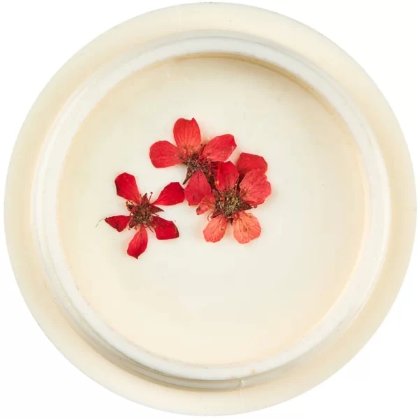 Dried-flowers-for-nail-art-pack-1-pack-jk-520615-2_1160x_crop_center