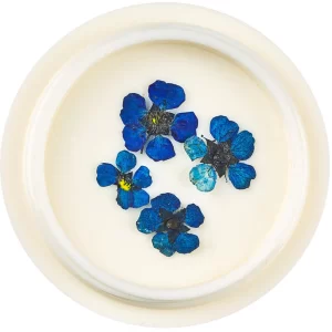 Dried-flowers-for-nail-art-pack-1-pack-jk-520615-3_1160x_crop_center