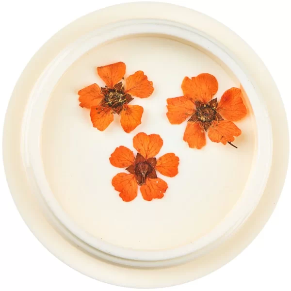 Dried-flowers-for-nail-art-pack-1-pack-jk-520615-4_1160x_crop_center