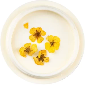 Dried-flowers-for-nail-art-pack-1-pack-jk-520615-5_1160x_crop_center