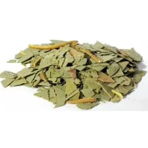 Eucalyptus-cut-1-lb-by-ag-naturals-rg-102287-1_1160x_crop_center