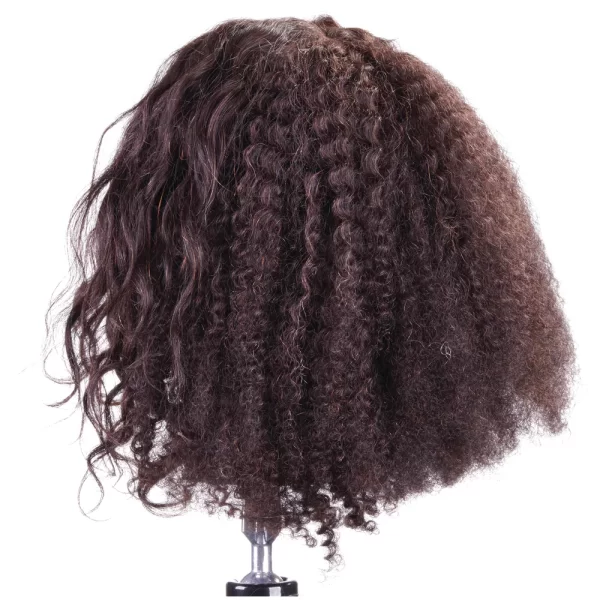 Keke-curly-quad-manikin-dark-brown-11-inches-12-inches-100-percent-human-hair-implanted-in-four-separate-quadrants-by-celebrity-vo-305388-3_1160x_crop_center