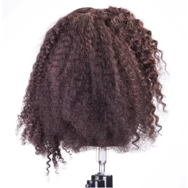 Keke-curly-quad-manikin-dark-brown-11-inches-12-inches-100-percent-human-hair-implanted-in-four-separate-quadrants-by-celebrity-vo-305388-4_1160x_crop_center