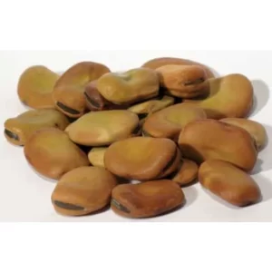 Mojo-wish-beans-1-lb-by-ag-naturals-rg-102357-1_1160x_crop_center
