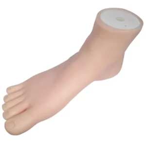 Pedicure-foot-manikin-by-dl-pro-vo-304341-1_1160x_crop_center