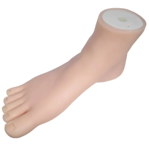 Pedicure-foot-manikin-by-dl-pro-vo-304341-1_1160x_crop_center