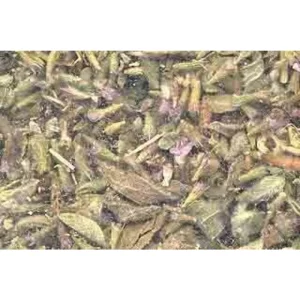 Pennyroyal-leaf-cut-1-lb-by-ag-naturals-rg-102381-1_1160x_crop_center