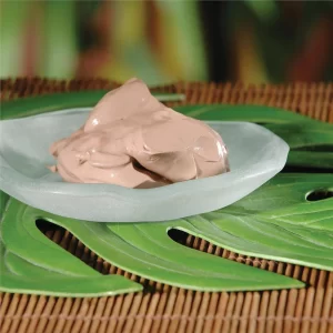 Spa-pantry-sedona-mud-blend-4-oz-vu-306489-3_1160x_crop_center