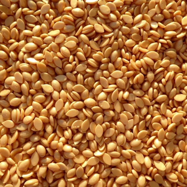 Waxness-barbero-tattoo-hypoallergenic-gold-film-hard-wax-beads-made-in-italy-1-65-lbs-750-grams-eax-x-4-bags-6-6-lbs-hg-250261-8_1160x_crop_center