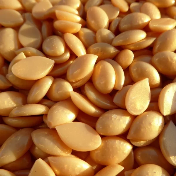 Waxness-barbero-tattoo-hypoallergenic-gold-film-hard-wax-beads-made-in-italy-bulk-19-8-lbs-8-98-kg-hg-250262-3_1160x_crop_center