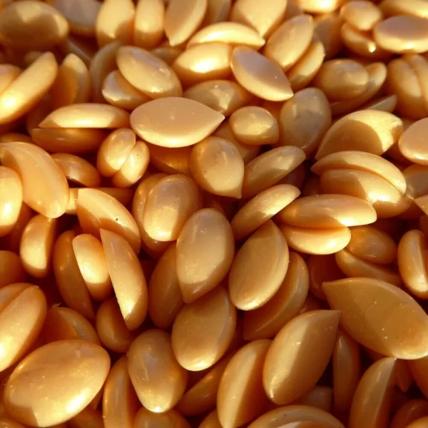 Waxness-barbero-tattoo-hypoallergenic-gold-film-hard-wax-beads-made-in-italy-bulk-19-8-lbs-8-98-kg-hg-250262-4_1160x_crop_center