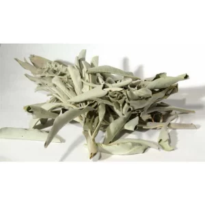 White-sage-1-lb-by-ag-naturals-rg-102439-1_1160x_crop_center