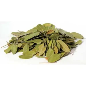 Bearberry-uva-ursi-mexican-1-lb-by-ag-naturals-rg-102240-1_1160x_crop_center